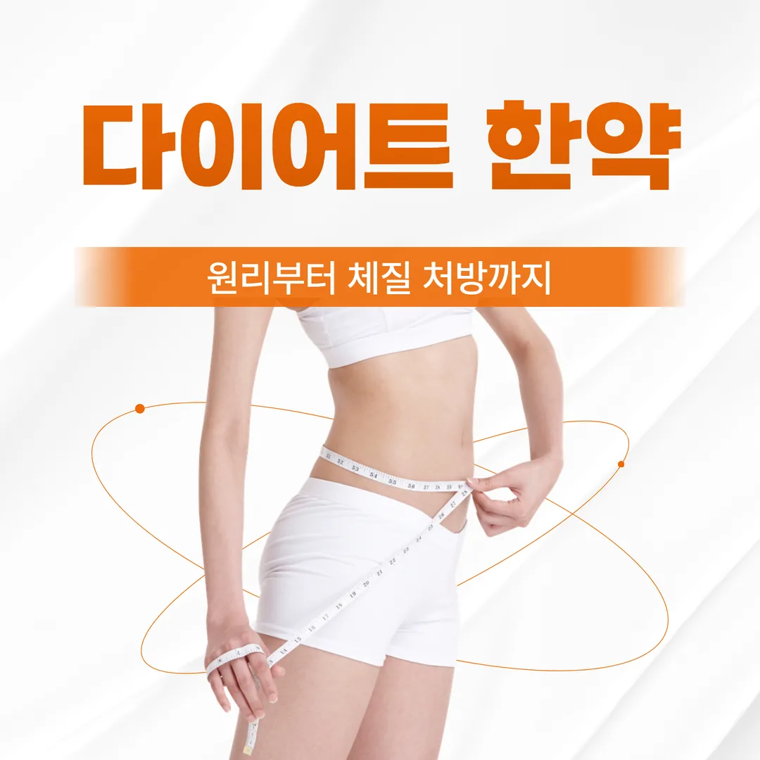 은평구 다이어트 한약, 원리부터 체질 처방까지
