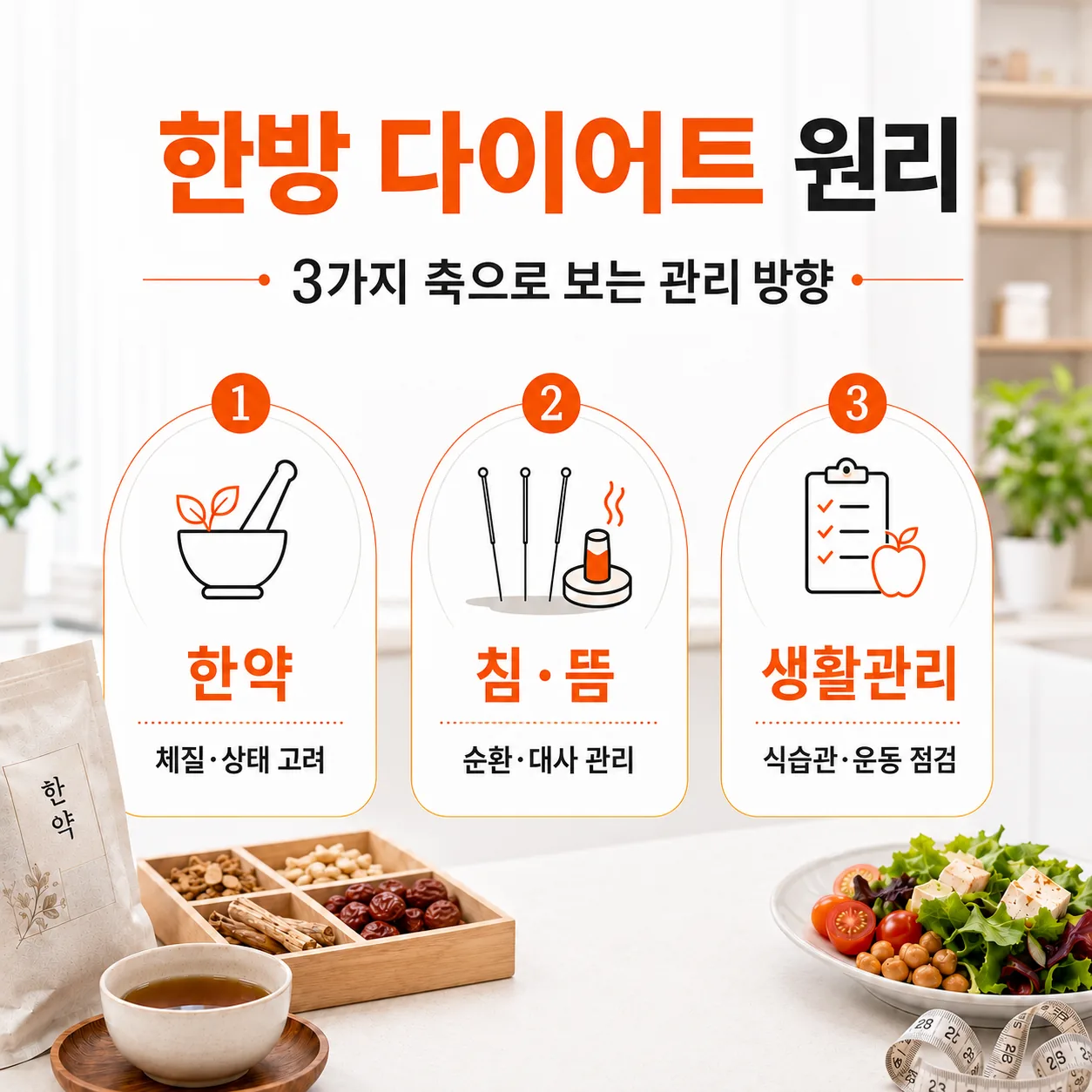 한방 다이어트 원리