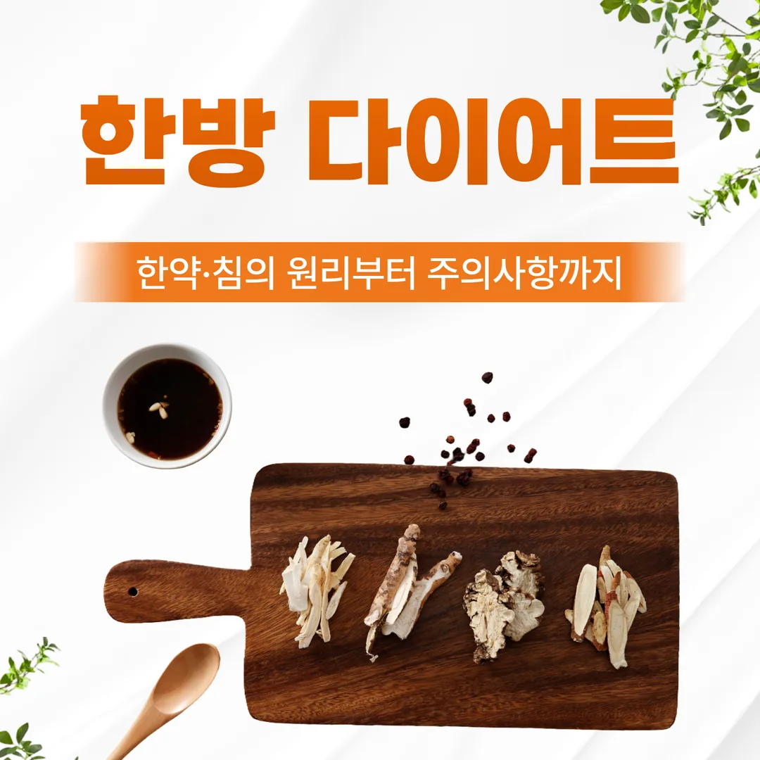 은평구 한방 다이어트, 한약·침의 원리부터 주의사항까지
