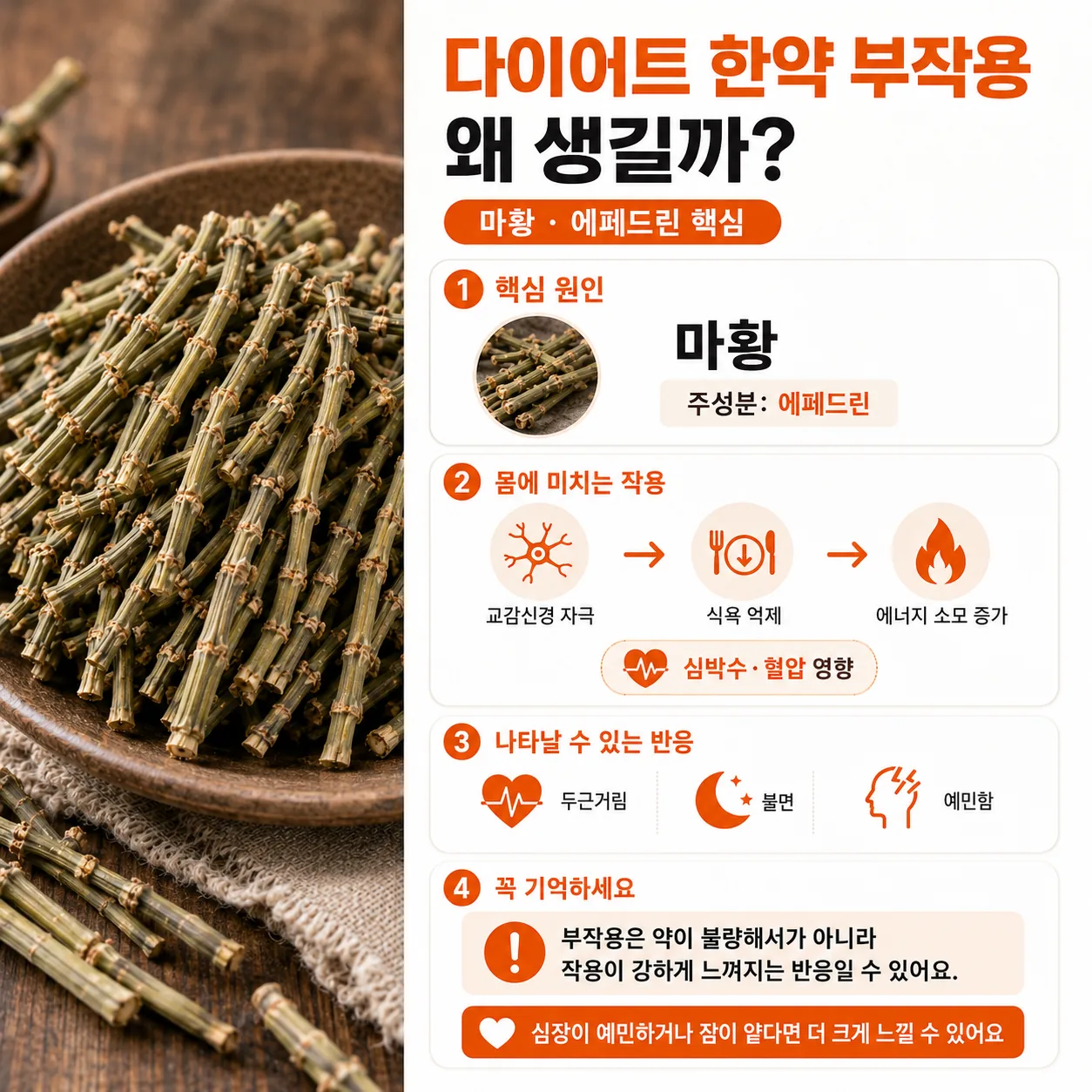 다이어트 한약 부작용의 원인이 되는 마황 약재와 에페드린 성분