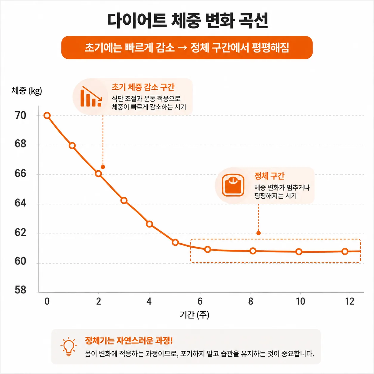 다이어트 정체기 발생 원리를 보여주는 체중 변화 곡선