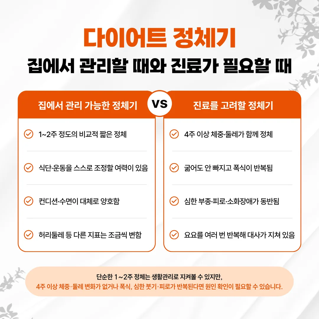 다이어트 정체기 자가관리와 한의원 진료 비교 기준