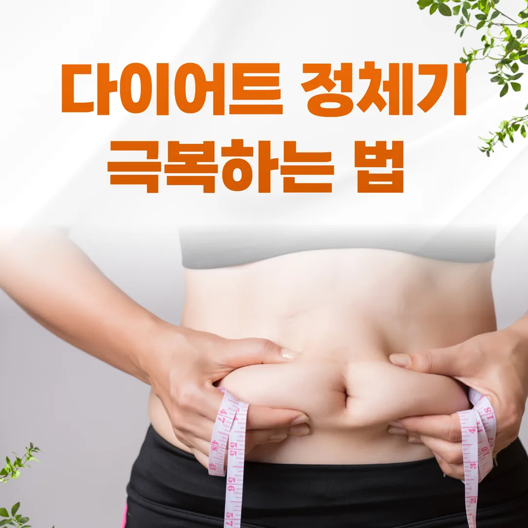다이어트 정체기 극복하는 법 (은평구 한방 다이어트)