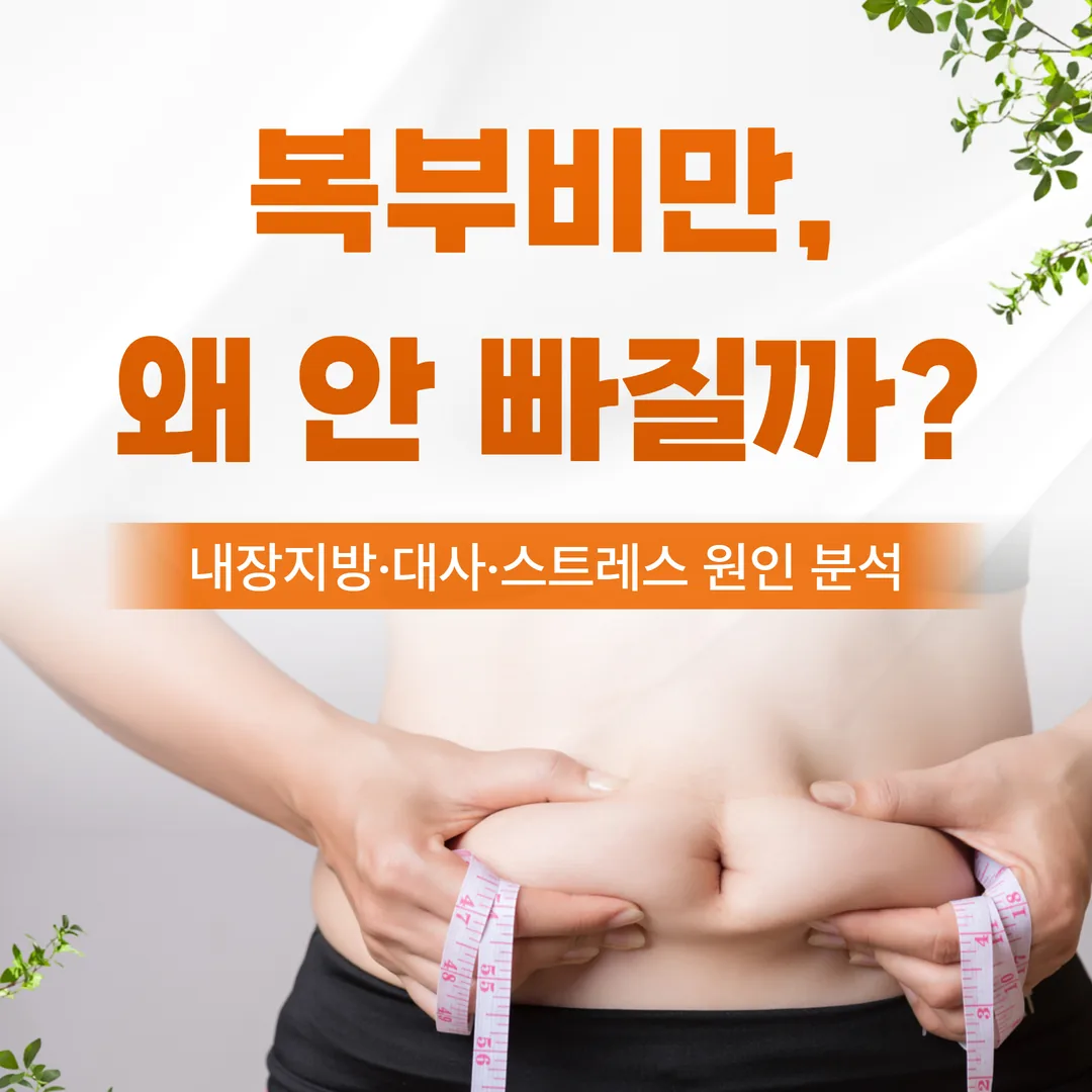복부비만, 왜 안 빠질까? 내장지방·대사·스트레스 원인 분석 (은평구 한방)