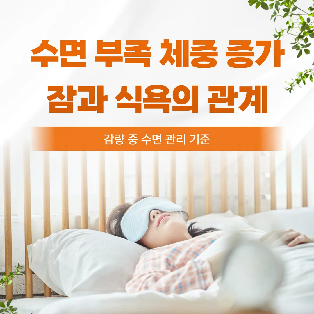 수면 부족 체중 증가 — 잠과 식욕의 관계, 감량 중 수면 관리 기준