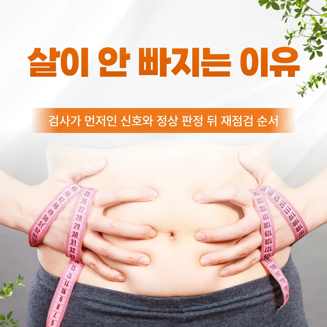 살이 안 빠지는 이유 — 검사가 먼저인 신호와 정상 판정 뒤 재점검 순서