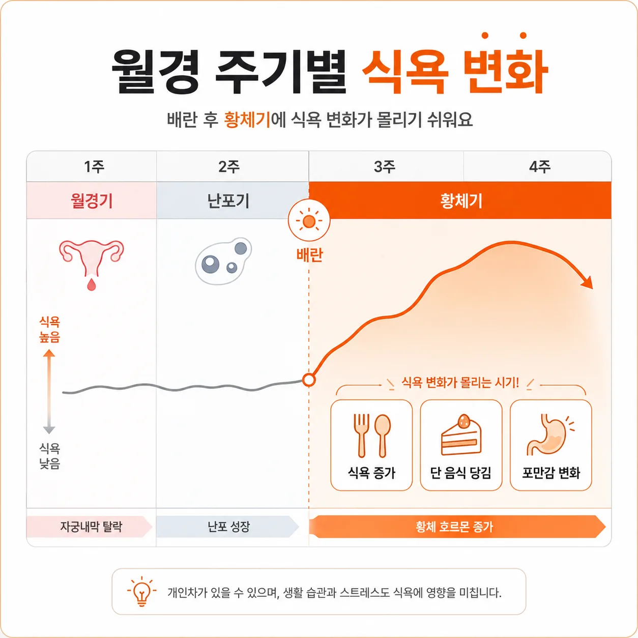 월경 주기 단계별 식욕 변화 흐름 도표