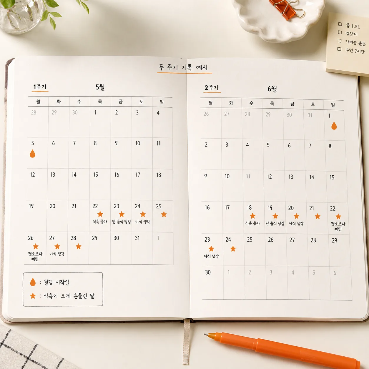 월경 시작일과 식욕 변화 날짜를 두 주기 기록한 달력 예시