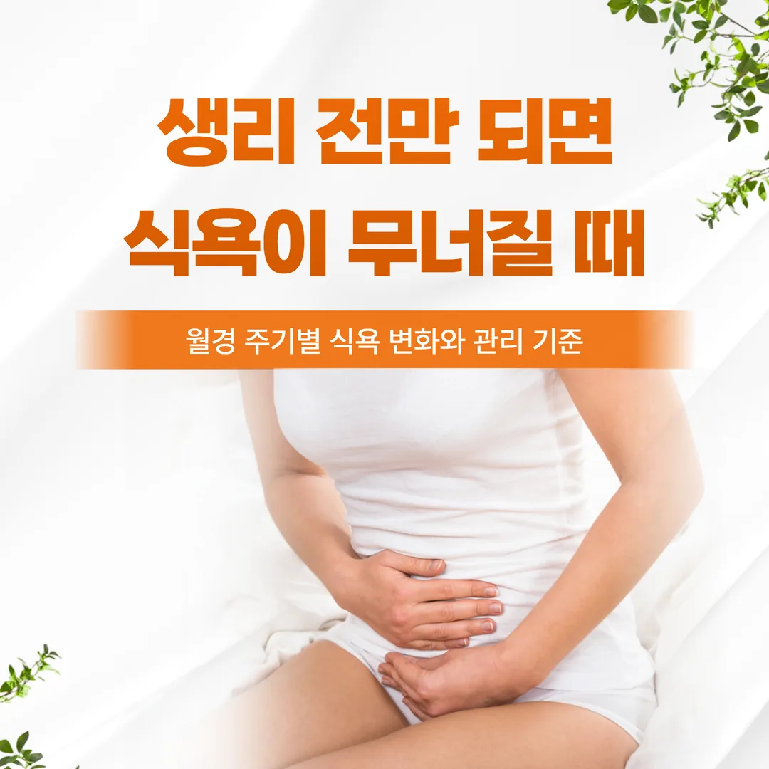 생리 전만 되면 식욕이 무너질 때 — 월경 주기별 식욕 변화와 관리 기준