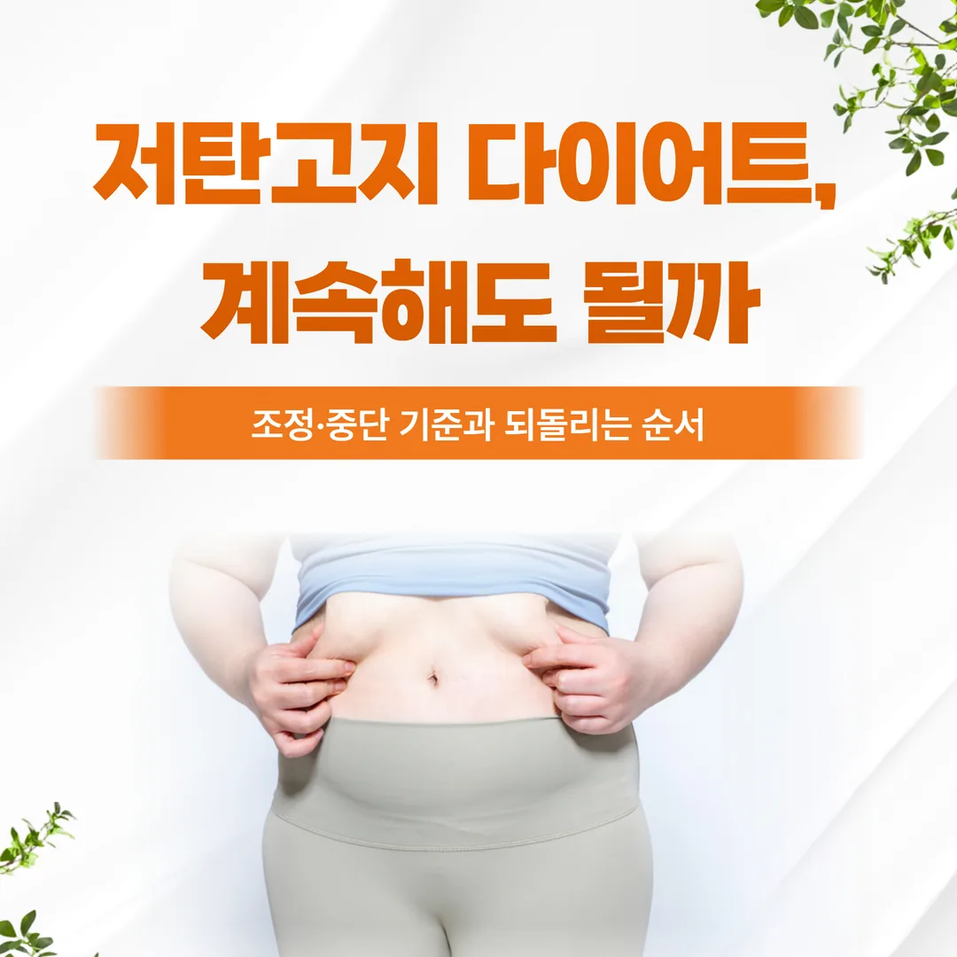 저탄고지 다이어트, 계속해도 될까 — 조정·중단 기준과 되돌리는 순서
