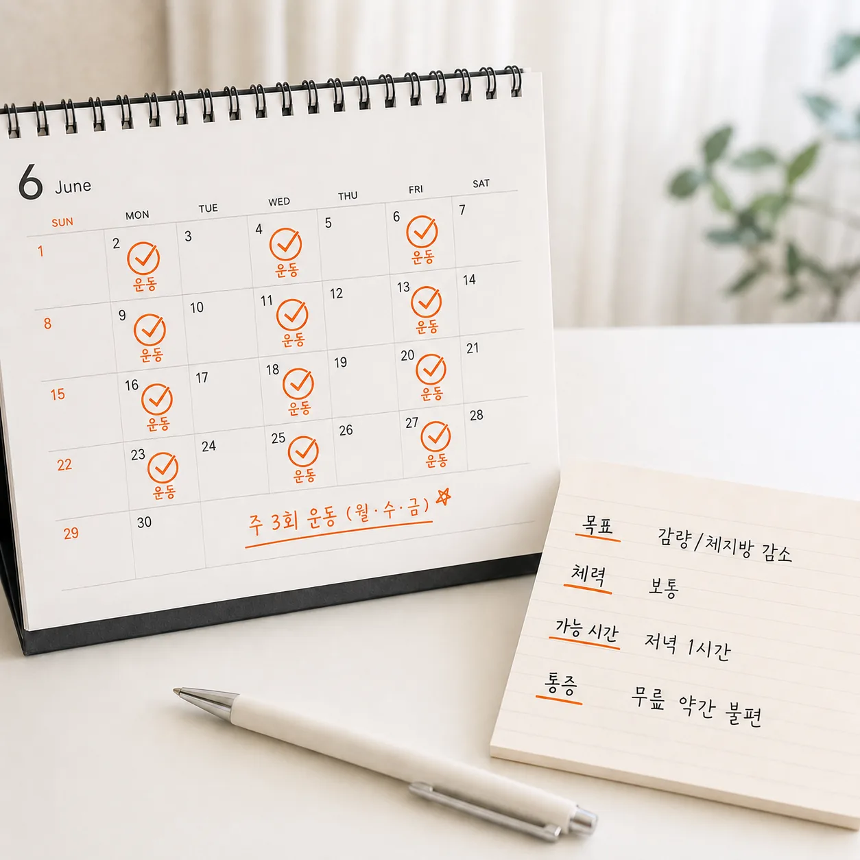 감량기 운동 계획을 세우기 전 확인하는 네 가지 항목 메모