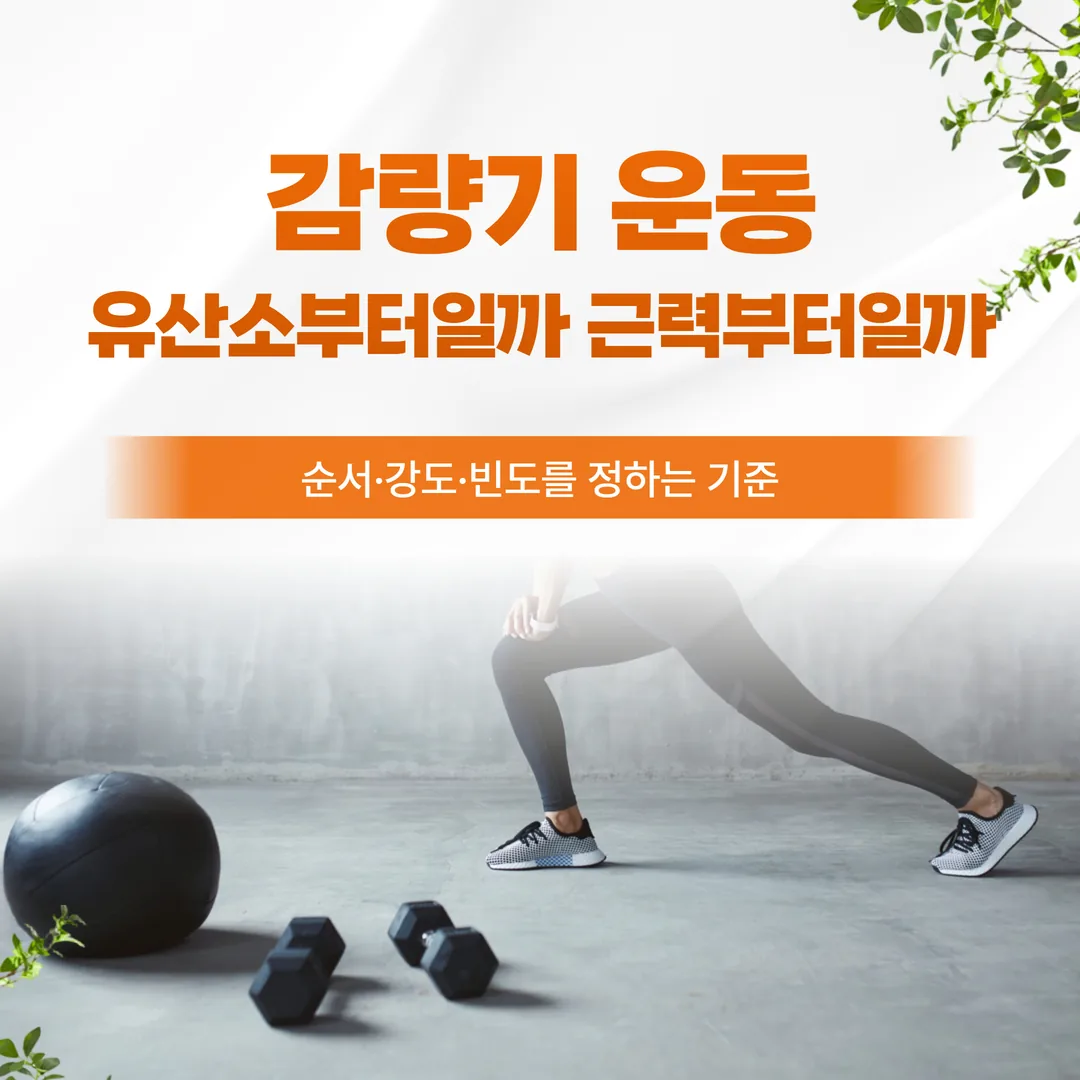 감량기 운동, 유산소부터일까 근력부터일까 — 순서·강도·빈도를 정하는 기준