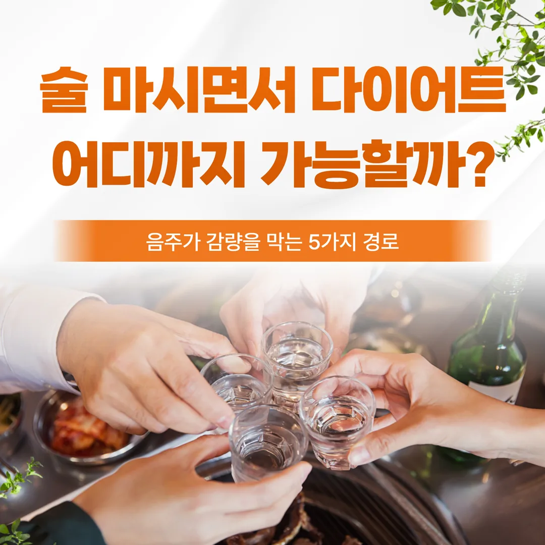 술 마시면서 다이어트, 어디까지 가능할까 — 음주가 감량을 막는 5가지 경로