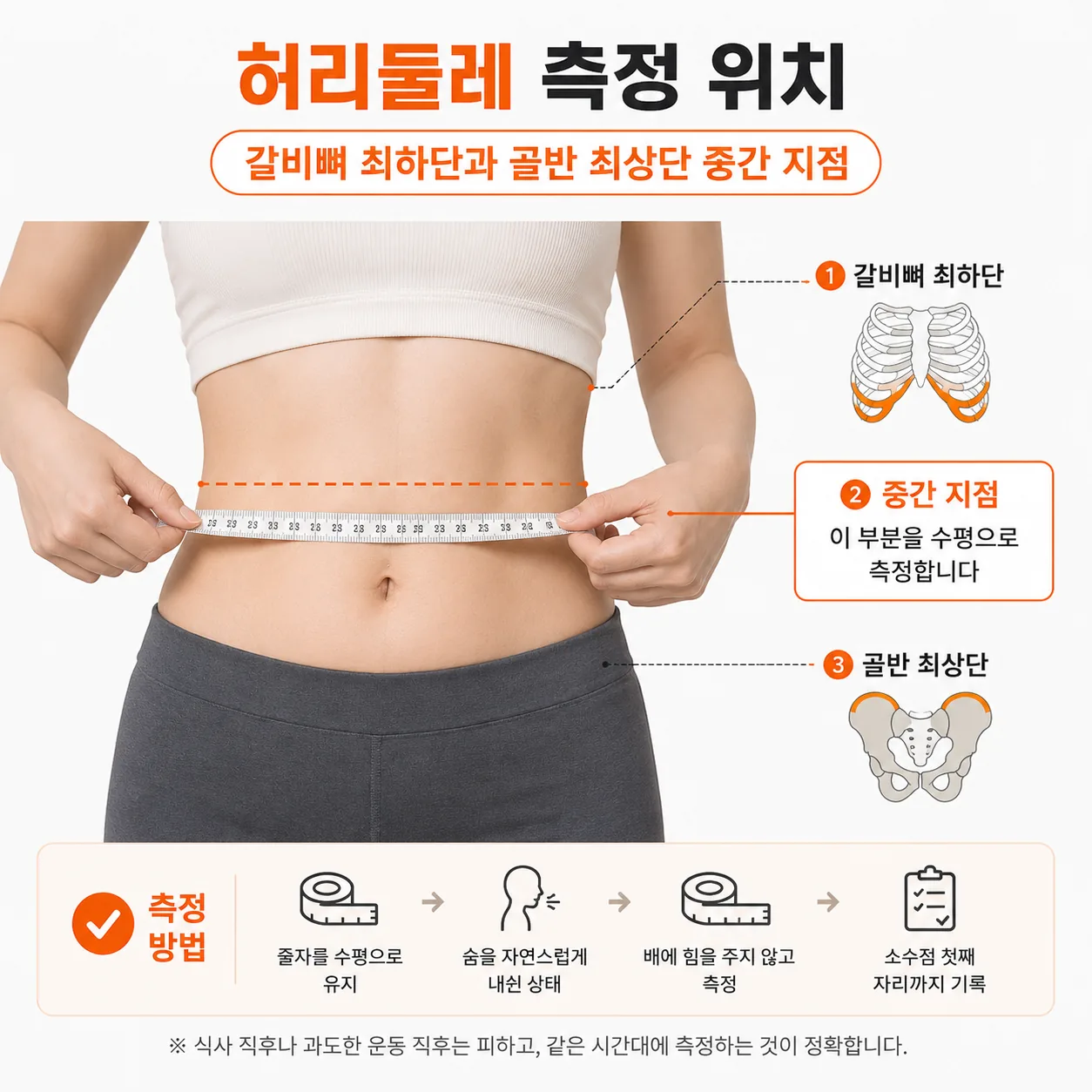허리둘레 측정 위치를 갈비뼈 아래와 골반 위 중간으로 표시한 도해
