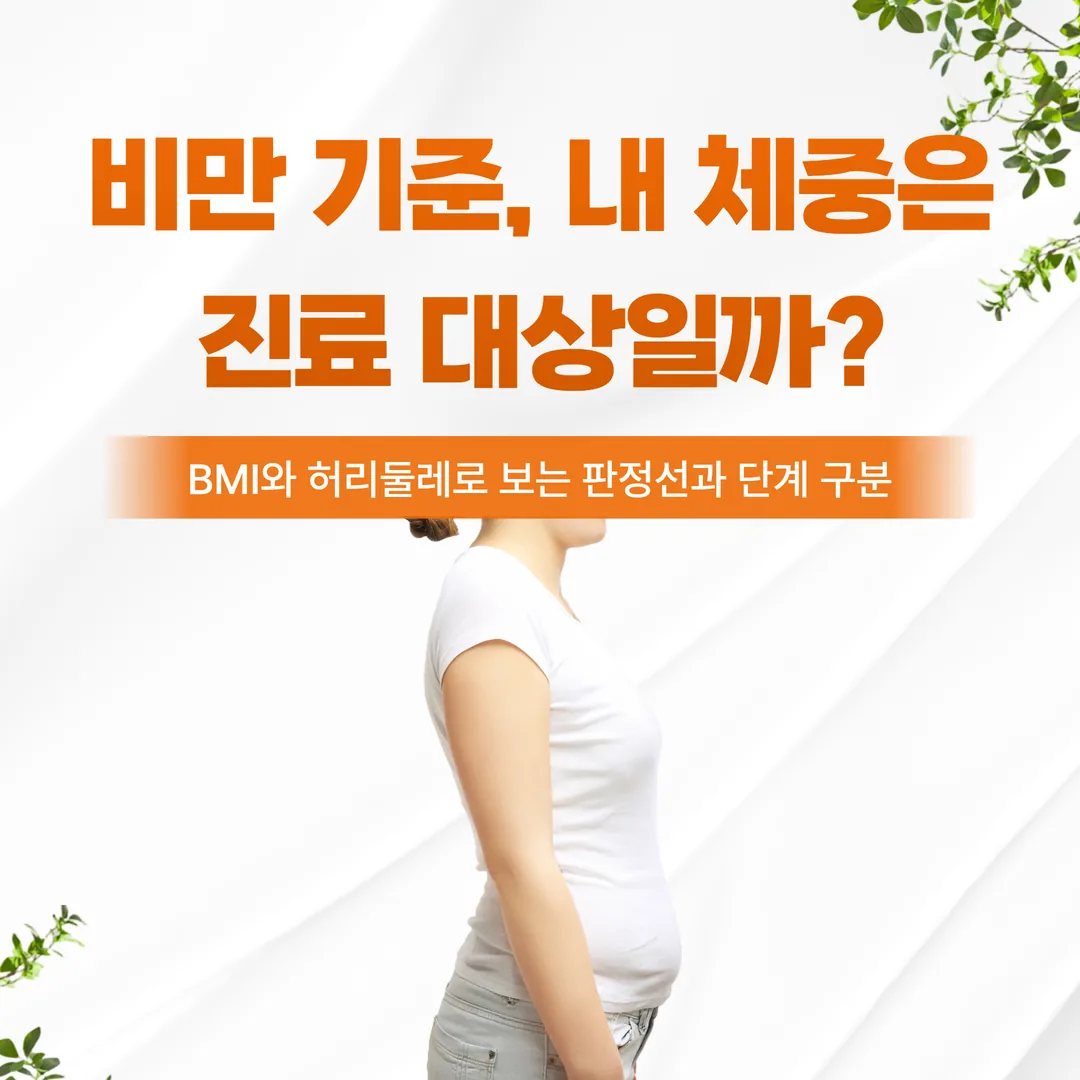 비만 기준, 내 체중은 진료 대상일까 — BMI와 허리둘레로 보는 판정선과 단계 구분