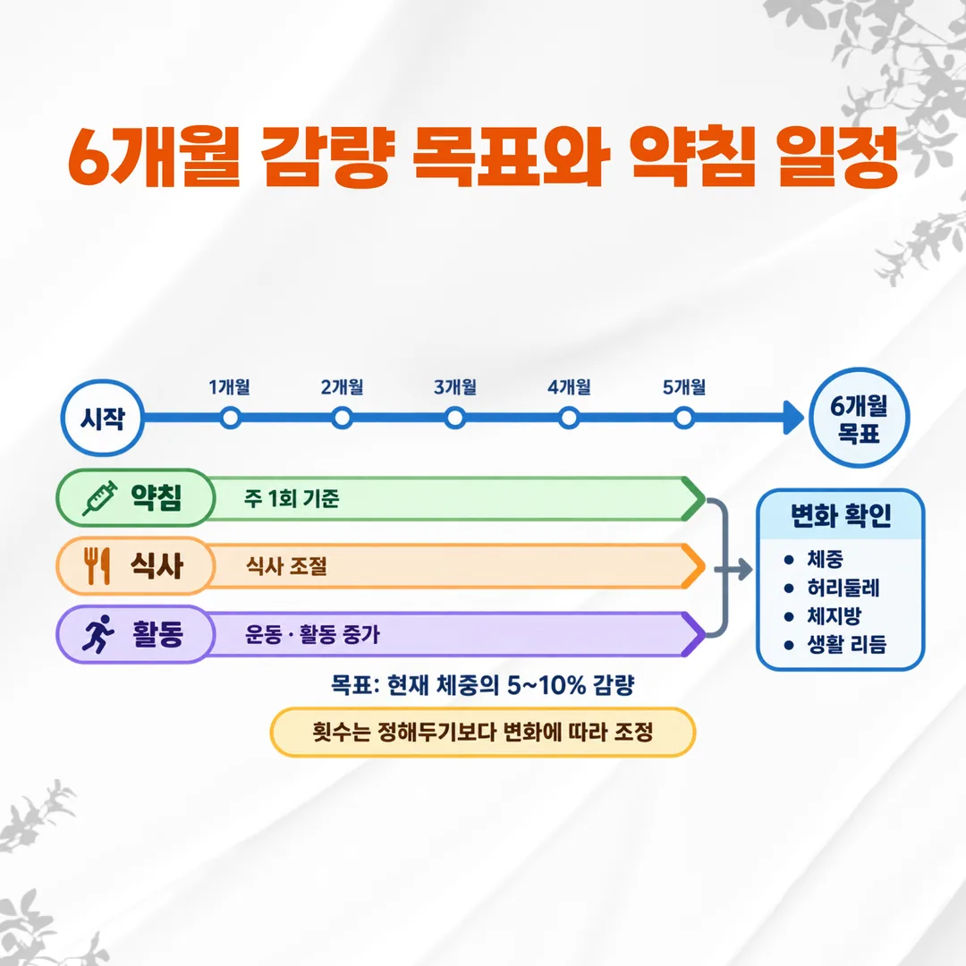 6개월 감량 목표 시간축 위에 약침 주 1회 기준선과 식사·활동 변화를 나란히 놓은 관계도