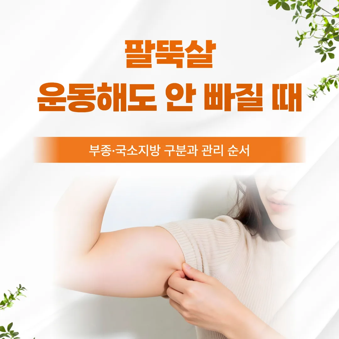 팔뚝살, 운동해도 안 빠질 때 — 부종·국소지방 구분과 관리 순서