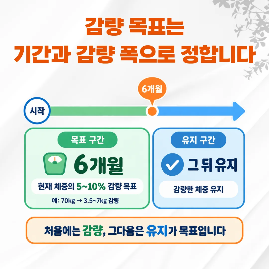 6개월 목표 구간과 유지 구간을 나눈 기간 도식