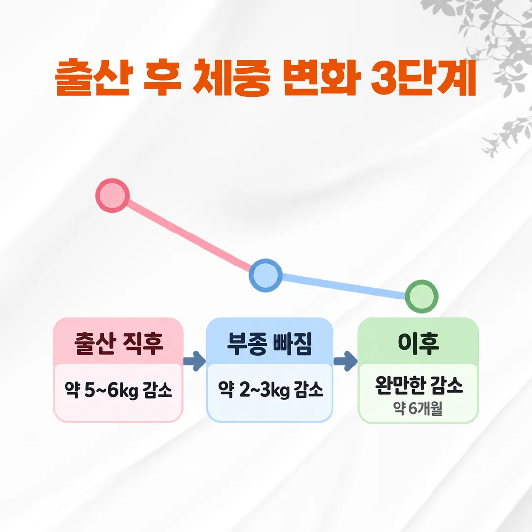 출산 후 시기별 체중 변화 구간을 세 칸으로 나눈 개념도