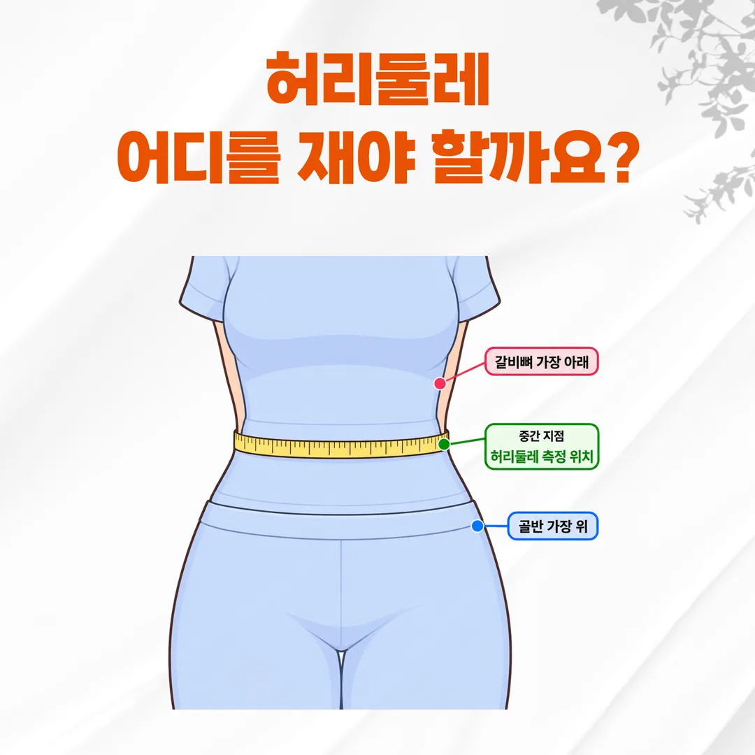 허리둘레를 재는 위치를 표시한 측정법 도식